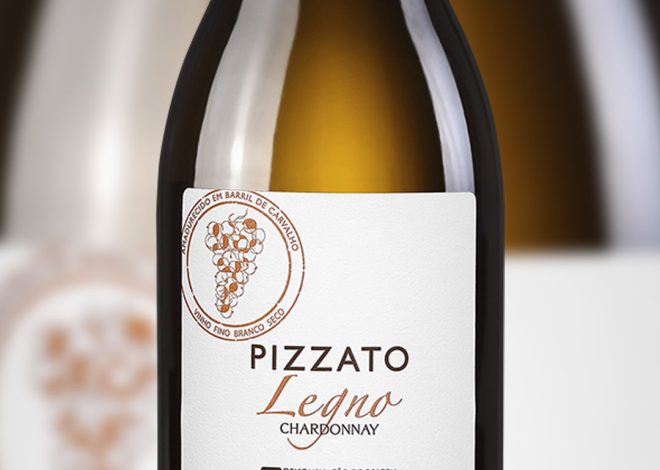 Vinhos veganos: entenda o processo e conheça rótulos para degustar