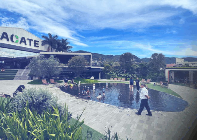 Nexxera marca presença no Fintech Trends 2025 com palestra de seu fundador, Edson Silva